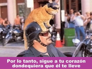 Por lo tanto, sigue a tu corazón dondequiera que él te lleve 