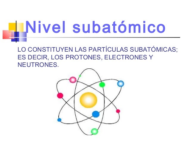 Niveles de Organizacion en los seres vivos