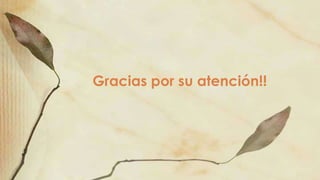 Gracias por su atención!!
 