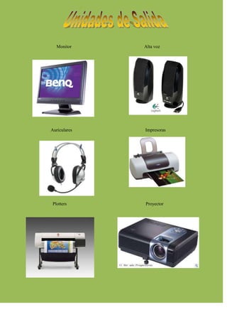 Monitor     Alta voz




Auriculares   Impresoras




Plotters      Proyector
 