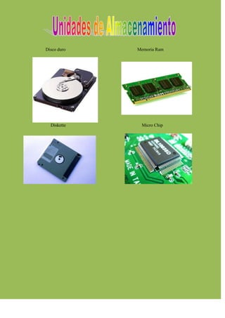 Disco duro   Memoria Ram




  Diskette    Micro Chip
 