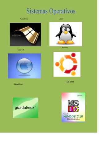 Windows   Linux




                 Ubuntun
   Mac OS




                        MS DOS
Guadalinex
 