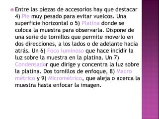  Entre las piezas de accesorios hay que destacar
4) Pie muy pesado para evitar vuelcos. Una
superficie horizontal o 5) Platina donde se
coloca la muestra para observarla. Dispone de
una serie de tornillos que permite moverlo en
dos direcciones, a los lados o de adelante hacia
atrás. Un 6) Foco luminoso que hace incidir la
luz sobre la muestra en la platina. Un 7)
Condensador que dirige y concentra la luz sobre
la platina. Dos tornillos de enfoque, 8) Macro
métrico y 9) Micrométrico, que aleja o acerca la
muestra hasta enfocar la imagen.
 