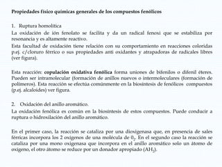 Propiedades físico químicas generales de los compuestos fenólicos
1. Ruptura homolítica
La oxidación de ión fenolato se facilita y da un radical fenoxi que se estabiliza por
resonancia y es altamente reactivo.
Esta facultad de oxidación tiene relación con su comportamiento en reacciones coloridas
p.ej. c/cloruro férrico o sus propiedades anti oxidantes y atrapadoras de radicales libres
(ver figura).
Esta reacción: copulación oxidativa fenólica forma uniones de bifenilos o difenil éteres.
Pueden ser intramolecular (formación de anillos nuevos o intermoleculares (formación de
polímeros). Esta reacción se efectúa comúnmente en la biosíntesis de fenólicos compuestos
(p.ej. alcaloides) ver figura.
2. Oxidación del anillo aromático.
La oxidación fenólica es común en la biosíntesis de estos compuestos. Puede conducir a
ruptura o hidroxilación del anillo aromático.
En el primer caso, la reacción se cataliza por una dioxigenasa que, en presencia de sales
férricas incorpora los 2 oxígenos de una molécula de 02. En el segundo caso la reacción se
cataliza por una mono oxigenasa que incorpora en el anillo aromático solo un átomo de
oxígeno, el otro átomo se reduce por un donador apropiado (AH2).
 