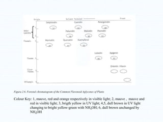 Figura 2.6. Forestal chromatogram of the Common Flavonoid Aglycones of Plants
Colour Key: 1, mauve, red and orange respectively in visible light; 2, mauve , mauve and
red in visible light; 3, brigth yellow in UV light; 4,5, dull brown in UV light
changing to bright yellow-green with NH4OH; 6, dull brown unchanged by
NH4OH
 