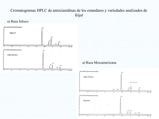 Cromatogramas HPLC de antocianidinas de los estandares y variedades analizados de
frijol
a) Raza Jalisco
a) Raza Mesoamericana
 