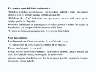 Flavonoides como inhibidores de enzimas:
Inhiben histidina decarboxilasa; hialuronidasa, catecol-O-metil transferasa:
aumento Catecol aminas, decrece la fragilidad capilar.
Inhibidor del cAMP fosfodiesterasa, que explica su actividad como agente
antiagregación de plaquetas.
Potentes inhibidores de lipooxigenasa o ciclooxigenasa o ambas, las cuales se
les relaciona con la capacidad de formar radicales libres.
También estimulan algunas enzimas p.ej. prolina-hidroxilasa.
Usos Terapéuticos
Los flavonoides de Citrus: tratamiento de insuficiencia venosa.
Al igual que los de Sophora japónica (árbol de las pagodas).
Rutina: insuficiencia cerebral senil.
Ginkgo biloba: flavonoides y terpenos: insuficiencia cerebral, vértigo, pérdida del
oido, insuficiencia venosa, ataque agudo de hemorroides
Algunas especies abundantes con: flor de la pasión, tomillo, manzanilla romana,
milenrama, cola de caballo.
 