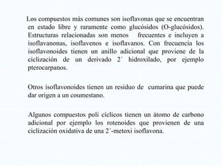Los compuestos más comunes son isoflavonas que se encuentran
en estado libre y raramente como glucósidos (O-glucósidos).
Estructuras relacionadas son menos frecuentes e incluyen a
isoflavanonas, isoflavenos e isoflavanos. Con frecuencia los
isoflavonoides tienen un anillo adicional que proviene de la
ciclización de un derivado 2´ hidroxilado, por ejemplo
pterocarpanos.
Otros isoflavonoides tienen un residuo de cumarina que puede
dar origen a un coumestano.
Algunos compuestos poli cíclicos tienen un átomo de carbono
adicional por ejemplo los rotenoides que provienen de una
ciclización oxidativa de una 2´-metoxi isoflavona.
 