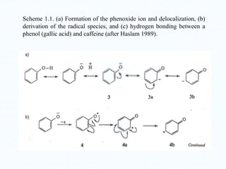 Scheme 1.1. (a) Formation of the phenoxide ion and delocalization, (b)
derivation of the radical species, and (c) hydrogen bonding between a
phenol (gallic acid) and caffeine (after Haslam 1989).
 