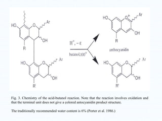 Fig. 3. Chemistry of the acid-butanol reaction. Note that the reaction involves oxidation and
that the terminal unit does not give a colored antocyanidin product structure.
The traditionally recommended water content is 6% (Porter et al. 1986.)
 
