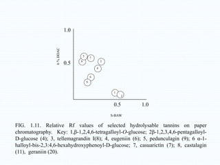 FIG. 1.11. Relative Rf values of selected hydrolysable tannins on paper
chromatography. Key: 1,β-1,2,4,6-tetragalloyl-O-glucose; 2β-1,2,3,4,6-pentagalloyl-
D-glucose (4); 3, tellemagrandin I(8); 4, eugeniin (6); 5, pedunculagin (9); 6 α-1-
halloyl-bis-2,3:4,6-hexahydroxyphenoyl-D-glucose; 7, casuarictin (7); 8, castalagin
(11), geraniin (20).
0.5 1.0
0.5
1.0
2
9
1
4
6
3
7
5
8
6
%
HOAC
S-BAW
 