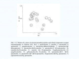 FIG. 11.2. Relative Rf values of selected proanthocyanidins and related compounds on paper
chromatography or cellulose TLC. Key: 1, epiafzelechin; 2, catechin; 3, epicatechin; 4,
gallotechin; 5, epigallocatechin; 6, epicatechin-4βbenzylsulphide; 7, epicatechin-(4β-
phloroglucinol; 8, epicatechin-(4β-8)-catechin; 9, epicatechin-(4 β-8)-epicatechin; 10,
catechin-(4α-8)-catechin; 11, catechin (4α—8)-epicatechin; 12,gallocatechin-(4α—8)-
epigallocatechin; 13, gallocatechin-(4α—8)-catechin; 14, epicatechin-(2β-7, 4β-8)-
epicatechin; 15, epicatechin-(2β-7,4β-6)-epicatechin; 16[epictechin-(4β-8)]2 epicatechin; 17,
[epicatechin-(4 β-8)]3 epicatechin.
 