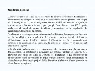 Significado Biológico
Aunque a ciertos fenólicos se les ha atribuido diversas actividades fisiológicas y
bioquímicas no siempre es claro si ellos son activos en las plantas. Por lo que
técnicas mejoradas de extracción y otras técnicas analíticas cuantitativas ayudarán
a elucidar sus funciones in vivo, por ejemplo Van Sumere en 1972 pudo
esclarecer el papel de ácidos fenólicos y cumarinas en la regulación de
germinación de semillas de cebada.
También es aparente que compuestos como alquil fenoles, hidroquinonas ó ésteres
de ácido elágico son repelentes de alimento, substancias de defensa o
aleloquímicos, otros fenoles y ácidos fenólicos se les ha relacionado con
inhibición de germinación de semillas, de esporas de hongos y en general del
crecimiento vegetal.
Además están relacionados con mecanismos de resistencia en plantas contra
fitopatógenos. La inhibición o activación de enzimas también es notoria, p.ej.
provocan que callos de tallos de Populus se diferencién o que promuevan la
iniciación de raíces adventicias en frijól mungo; también tienen importancia en
cloroplastos y fotosíntesis p.ej. el ácido benzóico inhibe este último proceso en
cloroplastos de espinaca.
 