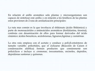 En relación al anillo aromático solo plantas y microorganismos son
capaces de sintetizar este anillo; y en relación a los fenólicos de las plantas
estos provienen de 2 ruta de aromatización principales:
La ruta mas común es la que involucra al shikimato (ácido Shikimico) y
parte de monosacáridos a aminoácidos aromáticos (fenilalanina, tirosina),
continúa con desaminación de ellos para formar derivados del ácido
cinámico: ácidos benzóicos, acetofenonas, lignanos,ligninas y cumárinas
La otra ruta empieza con el acetato y conduce a poli-β-cetoésteres de
tamaño variable: policétidos, que el ciclizarse (Reacción de Caisen ó
condensación aldólica) forman productos que comúnmente son
policíclicos e incluye a: cromonas, isocumarinas, orcinoles, depsidos,
depsidonas xantonas y quinonas.
 