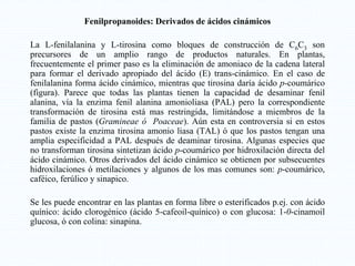 Fenilpropanoides: Derivados de ácidos cinámicos
La L-fenilalanina y L-tirosina como bloques de construcción de C6C3 son
precursores de un amplio rango de productos naturales. En plantas,
frecuentemente el primer paso es la eliminación de amoniaco de la cadena lateral
para formar el derivado apropiado del ácido (E) trans-cinámico. En el caso de
fenilalanina forma ácido cinámico, mientras que tirosina daría ácido p-coumárico
(figura). Parece que todas las plantas tienen la capacidad de desaminar fenil
alanina, vía la enzima fenil alanina amonioliasa (PAL) pero la correspondiente
transformación de tirosina está mas restringida, limitándose a miembros de la
familia de pastos (Gramineae ó Poaceae). Aún esta en controversia si en estos
pastos existe la enzima tirosina amonio liasa (TAL) ó que los pastos tengan una
amplia especificidad a PAL después de deaminar tirosina. Algunas especies que
no transforman tirosina sintetizan ácido p-coumárico por hidroxilación directa del
ácido cinámico. Otros derivados del ácido cinámico se obtienen por subsecuentes
hidroxilaciones ó metilaciones y algunos de los mas comunes son: p-coumárico,
caféico, ferúlico y sinapico.
Se les puede encontrar en las plantas en forma libre o esterificados p.ej. con ácido
quínico: ácido clorogénico (ácido 5-cafeoil-quínico) o con glucosa: 1-0-cinamoil
glucosa, ó con colina: sinapina.
 