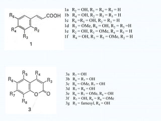 1a R2 = OH, R3 = R4 = R5 = H
1b R4 = OH, R2 = R3 = R5 = H
1c R4 =R5 = OH, R2 = R3 = H
1d R3 = OMe, R4 = OH, R2 = R5 =H
1e R2 = OH, R3 = OMe, R4 = R5 = H
1f R4 = OH, R3 = R5 = OMe, R2 = H
3a R7 = OH
3b R6 = R7 = OH
3c R6 = OMe, R7 = OH
3d R7 = R8 = OH
3e R6 = R7 = OMe, R8 = OH
3f R7 = OH, R6 = R8 = OMe
3g R3 = farnesyl, R4 = OH
 