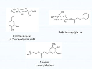 Chlorogenic acid
(5-O-caffeoylquinic acid)
1-O-cinnamoylglucose
Sinapine
(sinapoylcholine)
 