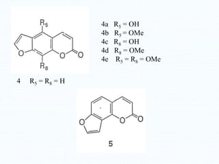4a R5 = OH
4b R5 = OMe
4c R8 = OH
4d R8 = OMe
4e R5 = R8 = OMe
4 R5 = R8 = H
 