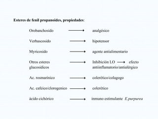 Esteres de fenil propanoides, propiedades:
Orobanchosido analgésico
Verbascosido hipotensor
Myricosido agente antialimentario
Otros esteres Inhibición LO efecto
glucosidicos antiinflamatorio/antialérgico
Ac. rosmarínico colerético/colagogo
Ac. cafeico/clorogenico colerético
ácido cichórico inmuno estimulante E.purpurea
 