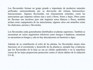Los flavonoides forman un grupo grande e importante de productos naturales
unificados estructuralmente por su derivación del sistema heterocíclico:
benzocromano. Algunos flavonoides son intensamente coloridos, como las
antocianinas que imparten colores rojo a azul a flores, frutos y hojas. Otros como
las flavonas son incoloros pero aún imparten tonos blancos a flores, también
actúan como copigmentos de las antocianinas; algunos otros son amarillos como
los chalconas, auronas y flavonoles.
Los flavonoides están generalmente distribuidos en plantas superiores. También se
encuentran en varios organismos inferiores como musgos ó hepáticas, raramente
se encuentran en hongos y aún no hay descripciones en bacterias o algas.
Además de su contribución al color de las plantas, los flavonoides tienen otras
funciones en el crecimiento y desarrollo de las plantas p. ejemplo hay evidencias
que los flavonoides de la hoja ya sea en células epidermales o en la superficie
cerosa de las hojas proporciona protección contra el efecto dañino de la radiación
UV-B.
 