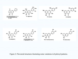 Figure 2. Flavonoid structures ilustrating some variations in hydroxyl patterns.
 