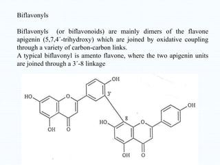 Biflavonyls
Biflavonyls (or biflavonoids) are mainly dimers of the flavone
apigenin (5,7,4´-trihydroxy) which are joined by oxidative coupling
through a variety of carbon-carbon links.
A typical biflavonyl is amento flavone, where the two apigenin units
are joined through a 3´-8 linkage
 