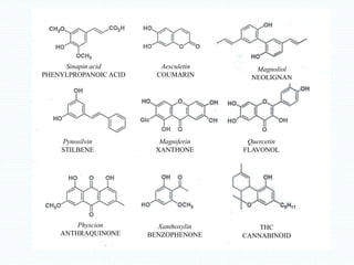 Aesculetin
COUMARIN
Magnoliol
NEOLIGNAN
Sinapin acid
PHENYLPROPANOIC ACID
Pynosilvin
STILBENE
Magniferin
XANTHONE
Quercetin
FLAVONOL
Physcion
ANTHRAQUINONE
Xanthoxylin
BENZOPHENONE
THC
CANNABINOID
 