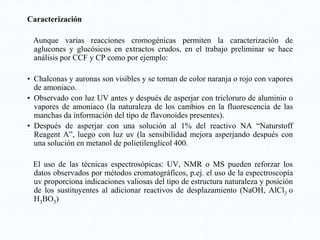 Caracterización
Aunque varias reacciones cromogénicas permiten la caracterización de
aglucones y glucósicos en extractos crudos, en el trabajo preliminar se hace
análisis por CCF y CP como por ejemplo:
• Chalconas y auronas son visibles y se tornan de color naranja o rojo con vapores
de amoniaco.
• Observado con luz UV antes y después de asperjar con tricloruro de aluminio o
vapores de amoniaco (la naturaleza de los cambios en la fluorescencia de las
manchas da información del tipo de flavonoides presentes).
• Después de asperjar con una solución al 1% del reactivo NA “Naturstoff
Reagent A”, luego con luz uv (la sensibilidad mejora asperjando después con
una solución en metanol de polietilenglicol 400.
El uso de las técnicas espectrosópicas: UV, NMR o MS pueden reforzar los
datos observados por métodos cromatográficos, p.ej. el uso de la espectroscopía
uv proporciona indicaciones valiosas del tipo de estructura naturaleza y posición
de los sustituyentes al adicionar reactivos de desplazamiento (NaOH, AlCl3 o
H3BO3)
 
