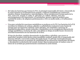 • De todas las bacterias que forman la P.B., la principal responsable del inicio y desarrollo de
la caries humana es la Estreptococcus mutans, evidencia respaldada por numerosos
estudios clínicos, bioquímicos y microbiológicos. Otros estreptococos forman parte de la
P.B., como el E. sanguis, E. mitis, E. salivarius y E. milleri. Además, otros dos
microorganismos son importantes, el Lactobacilus, germen capaz de producir gran
cantidad de ácido y de adaptarse perfectamente a vivir en medio ácido, y el Actinomices
viscosus.
• Una gran variedad de reacciones metabólicas se producen en la P.B. Las bacterias de la P.B.
necesitan los hidratos de carbono, glúcidos o carbohidratos (azúcares) como fuente de
energía para sus funciones celulares. Estos glúcidos, son sometidos a procesos de
degradación glucolítica, siendo reducidos a metabolitos con la consiguiente liberación de
energía metabólica y en forma de calor, esta última se disipa al medio bucal y favorece la
actividad fermentativa de las bacterias de la flora.
El tipo de glucólisis, también denominada vía glucolítica o glicólisis, que ocurre es
anaerobia y produce ácido láctico cómo metabolito residual, siendo éste el responsable del
descenso del pH y conversión acídica del medio bucal. Un pH bajo mantenido durante
cierto tiempo provoca un aumento de solubilidad de las estructuras superficiales del diente
y, literalmente, la disolución del esmalte dental. Macroscópicamente se traduce como el
inicio de la cavidad que posteriormente constituirá la caries dental.
 