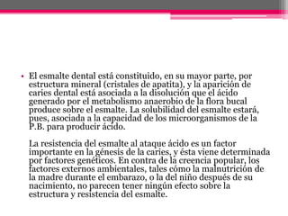 • El esmalte dental está constituido, en su mayor parte, por
estructura mineral (cristales de apatita), y la aparición de
caries dental está asociada a la disolución que el ácido
generado por el metabolismo anaerobio de la flora bucal
produce sobre el esmalte. La solubilidad del esmalte estará,
pues, asociada a la capacidad de los microorganismos de la
P.B. para producir ácido.
La resistencia del esmalte al ataque ácido es un factor
importante en la génesis de la caries, y ésta viene determinada
por factores genéticos. En contra de la creencia popular, los
factores externos ambientales, tales cómo la malnutrición de
la madre durante el embarazo, o la del niño después de su
nacimiento, no parecen tener ningún efecto sobre la
estructura y resistencia del esmalte.
 