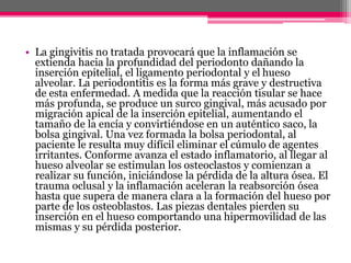 • La gingivitis no tratada provocará que la inflamación se
extienda hacia la profundidad del periodonto dañando la
inserción epitelial, el ligamento periodontal y el hueso
alveolar. La periodontitis es la forma más grave y destructiva
de esta enfermedad. A medida que la reacción tisular se hace
más profunda, se produce un surco gingival, más acusado por
migración apical de la inserción epitelial, aumentando el
tamaño de la encía y convirtiéndose en un auténtico saco, la
bolsa gingival. Una vez formada la bolsa periodontal, al
paciente le resulta muy difícil eliminar el cúmulo de agentes
irritantes. Conforme avanza el estado inflamatorio, al llegar al
hueso alveolar se estimulan los osteoclastos y comienzan a
realizar su función, iniciándose la pérdida de la altura ósea. El
trauma oclusal y la inflamación aceleran la reabsorción ósea
hasta que supera de manera clara a la formación del hueso por
parte de los osteoblastos. Las piezas dentales pierden su
inserción en el hueso comportando una hipermovilidad de las
mismas y su pérdida posterior.
 