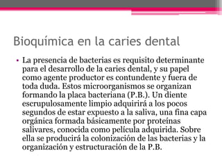 Bioquímica en la caries dental
• La presencia de bacterias es requisito determinante
para el desarrollo de la caries dental, y su papel
como agente productor es contundente y fuera de
toda duda. Estos microorganismos se organizan
formando la placa bacteriana (P.B.). Un diente
escrupulosamente limpio adquirirá a los pocos
segundos de estar expuesto a la saliva, una fina capa
orgánica formada básicamente por proteínas
salivares, conocida como película adquirida. Sobre
ella se producirá la colonización de las bacterias y la
organización y estructuración de la P.B.
 