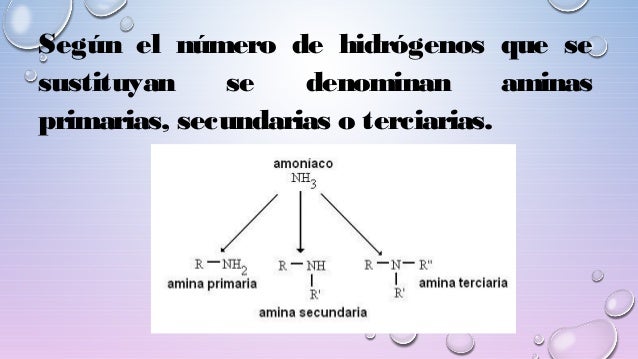 COMPUESTOS ORGÁNICOS NITROGENADOS CARACTERÍSTICAS Y NOMENCLATURA. Li…
