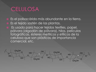    Es el polisacárido más abundante en la tierra.
   Es el tejido sostén de las plantas.
    Es usado para hacer tejidos textiles, papel,
    pólvora (algodón de pólvora), hilos, películas
    fotográficas, ésteres metílicos y etílicos de la
    celulosa que son plásticos de importancia
    comercial, etc.

      CH2OH                        OH
              O       HO                      CH2OH                        OH
O                                                     O       HO
HO                O                     O                                       O
                                   O     HO               O
          OH
                           CH2OH                  OH                       O
                                                                   CH2OH
 