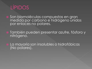    Son biomoléculas compuestas en gran
    medida por carbono e hidrógeno unidos
    por enlaces no polares.

   También pueden presentar azufre, fósforo y
    nitrógeno.

   La mayoría son insolubles o hidrofóbicas
    (No polares).
 