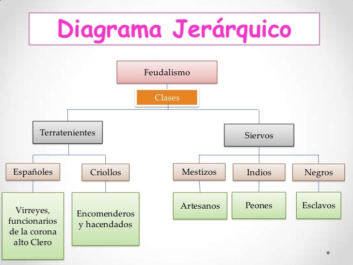 ejemplos de organizadores graficos paulina morales