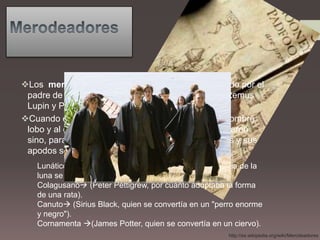 MerodeadoresLos  merodeadores son el grupo de amigos formado por el padre de Harry Potter: James Potter, Sirius Black, Remus Lupin y Peter Pettigrew