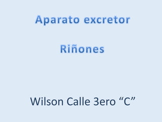 Wilson Calle 3ero “C”
 