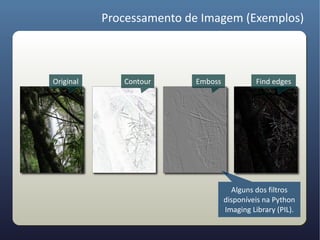 Processamento de Imagem (Exemplos)



Original      Contour     Emboss             Find edges




                                     Alguns dos filtros
                                   disponíveis na Python
                                   Imaging Library (PIL).
 