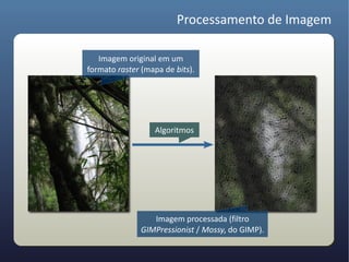 Processamento de Imagem

   Imagem original em um
formato raster (mapa de bits).




                  Algoritmos




                  Imagem processada (filtro
               GIMPressionist / Mossy, do GIMP).
 