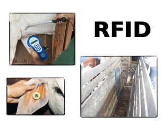 “Projeto de biologia tem 12 videogames que
         fazem cálculos cientíﬁcos.”




     http://tecnologia.uol.com.br/album/20080311_futuro1_album.jhtm
                       http://ps3griducb.tiddlyspot.com
 