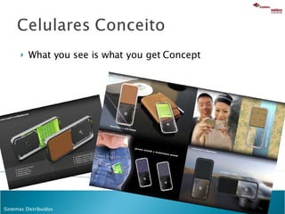 What you see is what you get Concept 