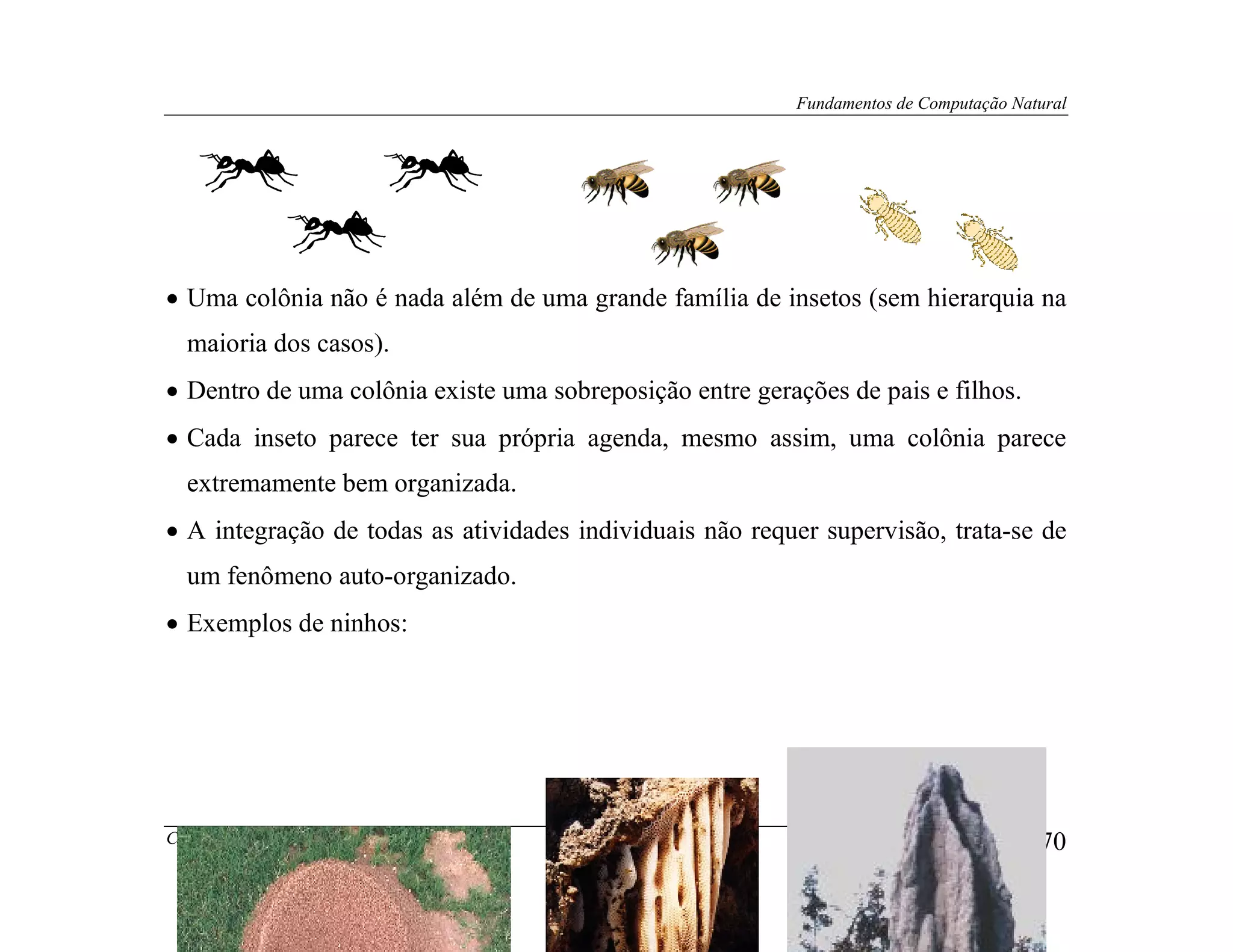 Fundamentos de Computação Natural




• Uma colônia não é nada além de uma grande família de insetos (sem hierarquia na
  maioria dos casos).
• Dentro de uma colônia existe uma sobreposição entre gerações de pais e filhos.
• Cada inseto parece ter sua própria agenda, mesmo assim, uma colônia parece
  extremamente bem organizada.
• A integração de todas as atividades individuais não requer supervisão, trata-se de
  um fenômeno auto-organizado.
• Exemplos de ninhos:




Copyright© Leandro Nunes de Castro                                                    170
 