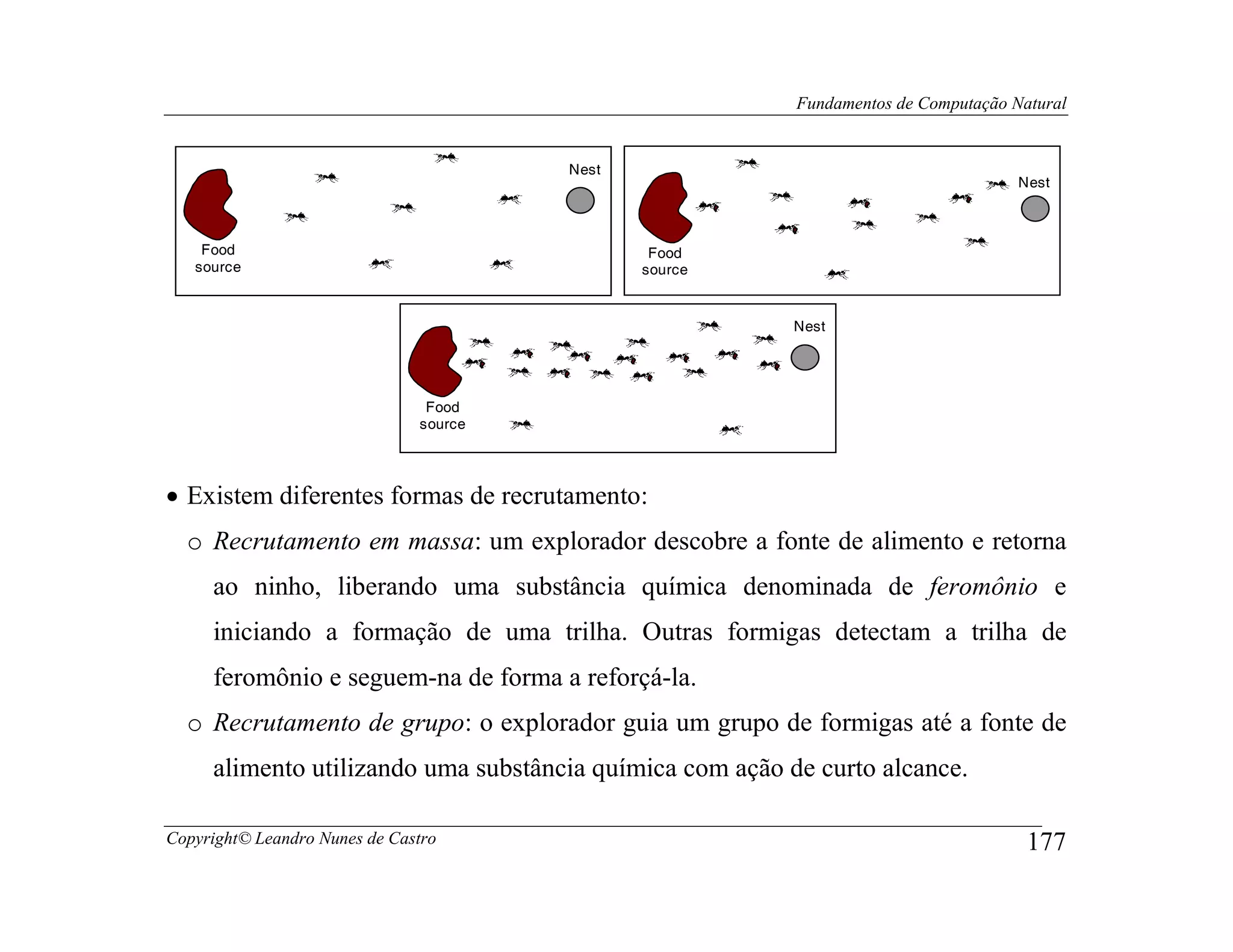 Fundamentos de Computação Natural


                                        Nest
                                                                                     Nest



    Food                                        Food
   source                                      source


                                                          Nest




                                Food
                               source




• Existem diferentes formas de recrutamento:
  o Recrutamento em massa: um explorador descobre a fonte de alimento e retorna
     ao ninho, liberando uma substância química denominada de feromônio e
     iniciando a formação de uma trilha. Outras formigas detectam a trilha de
     feromônio e seguem-na de forma a reforçá-la.
  o Recrutamento de grupo: o explorador guia um grupo de formigas até a fonte de
     alimento utilizando uma substância química com ação de curto alcance.

Copyright© Leandro Nunes de Castro                                                    177
 