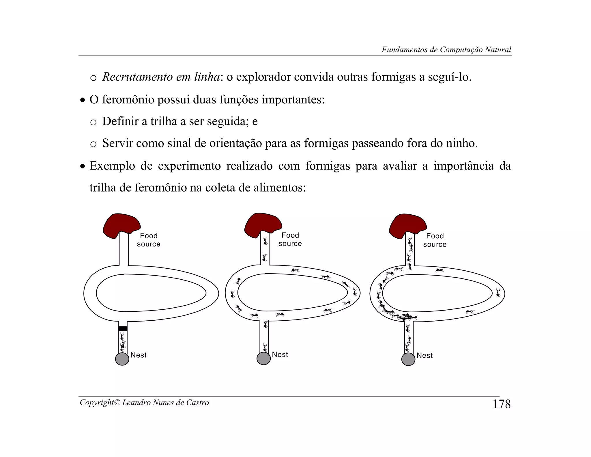 Fundamentos de Computação Natural


  o Recrutamento em linha: o explorador convida outras formigas a seguí-lo.
• O feromônio possui duas funções importantes:
  o Definir a trilha a ser seguida; e
  o Servir como sinal de orientação para as formigas passeando fora do ninho.
• Exemplo de experimento realizado com formigas para avaliar a importância da
  trilha de feromônio na coleta de alimentos:


                Food                      Food                       Food
               source                    source                     source




             Nest                       Nest                      Nest




Copyright© Leandro Nunes de Castro                                                    178
 