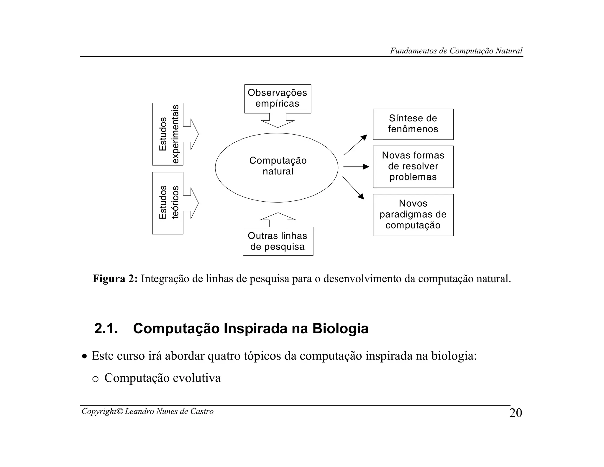 Fundamentos de Computação Natural



                                     Observações
                                      empíricas




                   experimentais
                                                                Síntese de



                     Estudos
                                                                fenômenos

                                                              Novas formas
                                     Computação
                                                               de resolver
                                       natural
                                                               problemas
                   Estudos
                   teóricos

                                                                  Novos
                                                              paradigmas de
                                                               computação
                                     Outras linhas
                                     de pesquisa


  Figura 2: Integração de linhas de pesquisa para o desenvolvimento da computação natural.



   2.1.      Computação Inspirada na Biologia
• Este curso irá abordar quatro tópicos da computação inspirada na biologia:
  o Computação evolutiva

Copyright© Leandro Nunes de Castro                                                           20
 