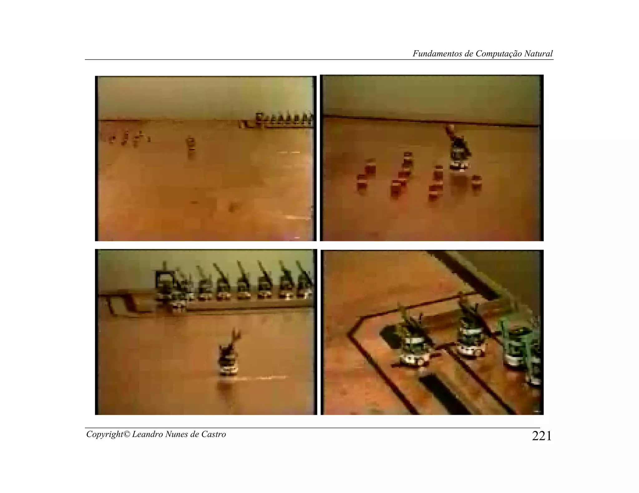 Fundamentos de Computação Natural




Copyright© Leandro Nunes de Castro                               221
 