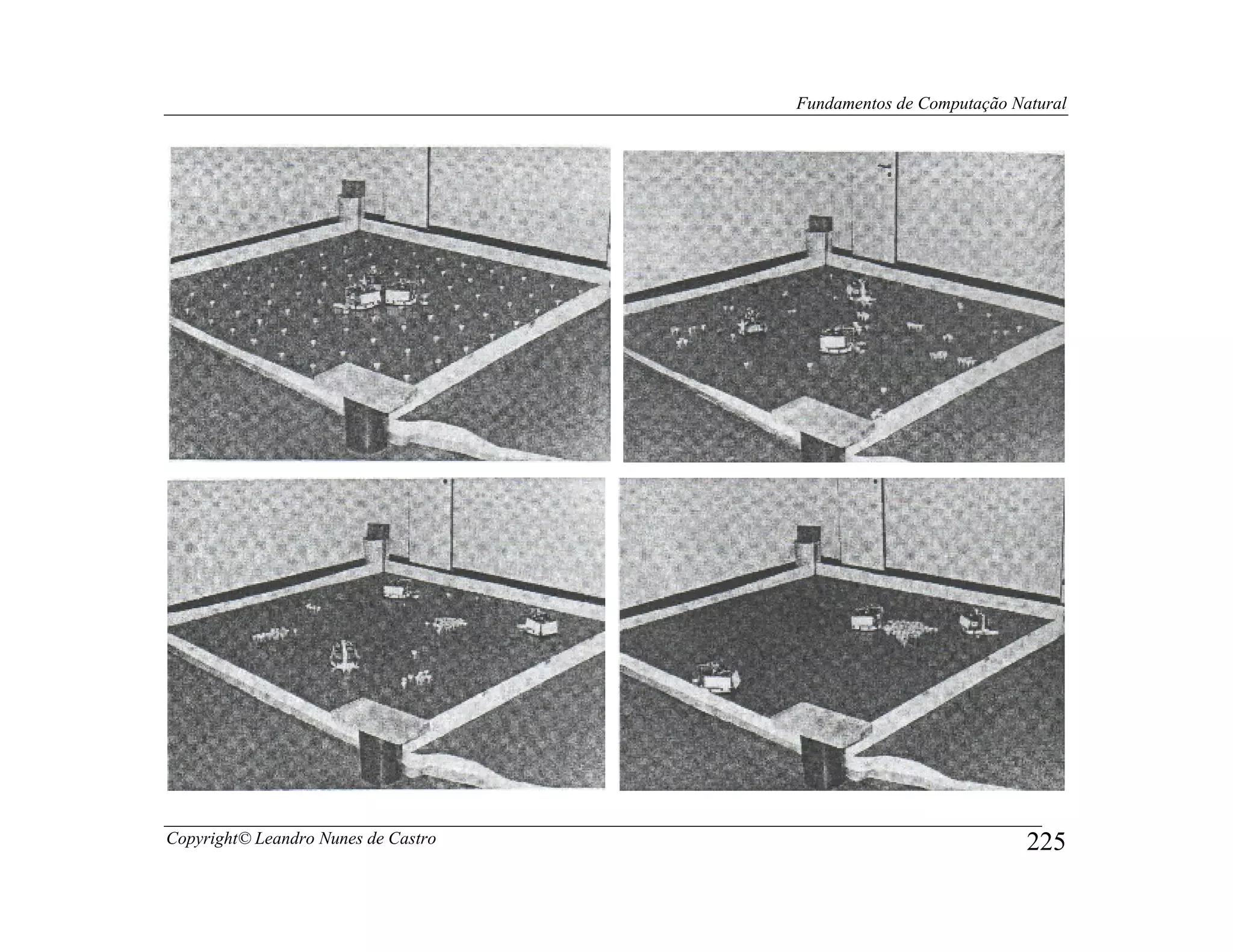 Fundamentos de Computação Natural




Copyright© Leandro Nunes de Castro                               225
 