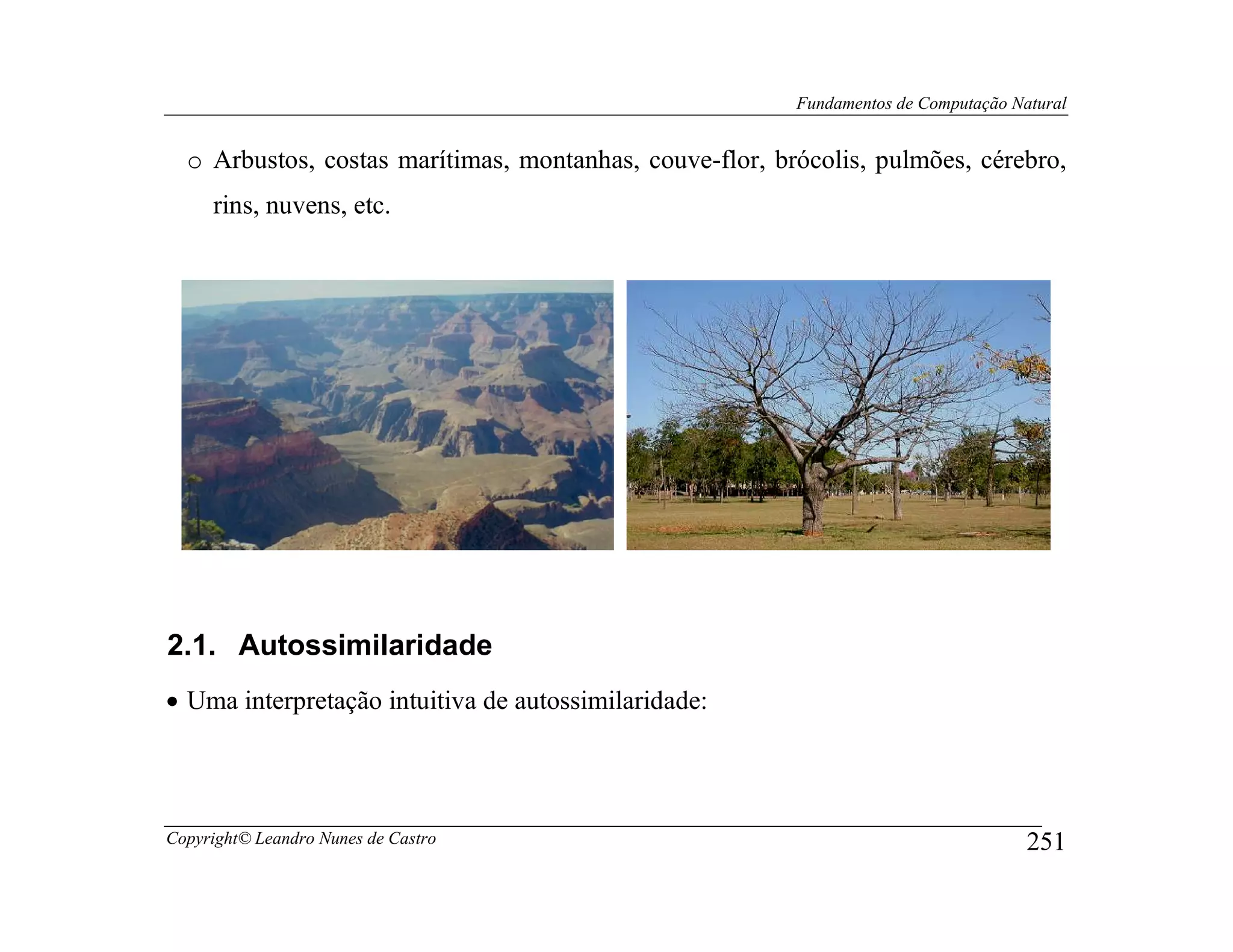 Fundamentos de Computação Natural


  o Arbustos, costas marítimas, montanhas, couve-flor, brócolis, pulmões, cérebro,
     rins, nuvens, etc.




2.1. Autossimilaridade
• Uma interpretação intuitiva de autossimilaridade:




Copyright© Leandro Nunes de Castro                                                   251
 