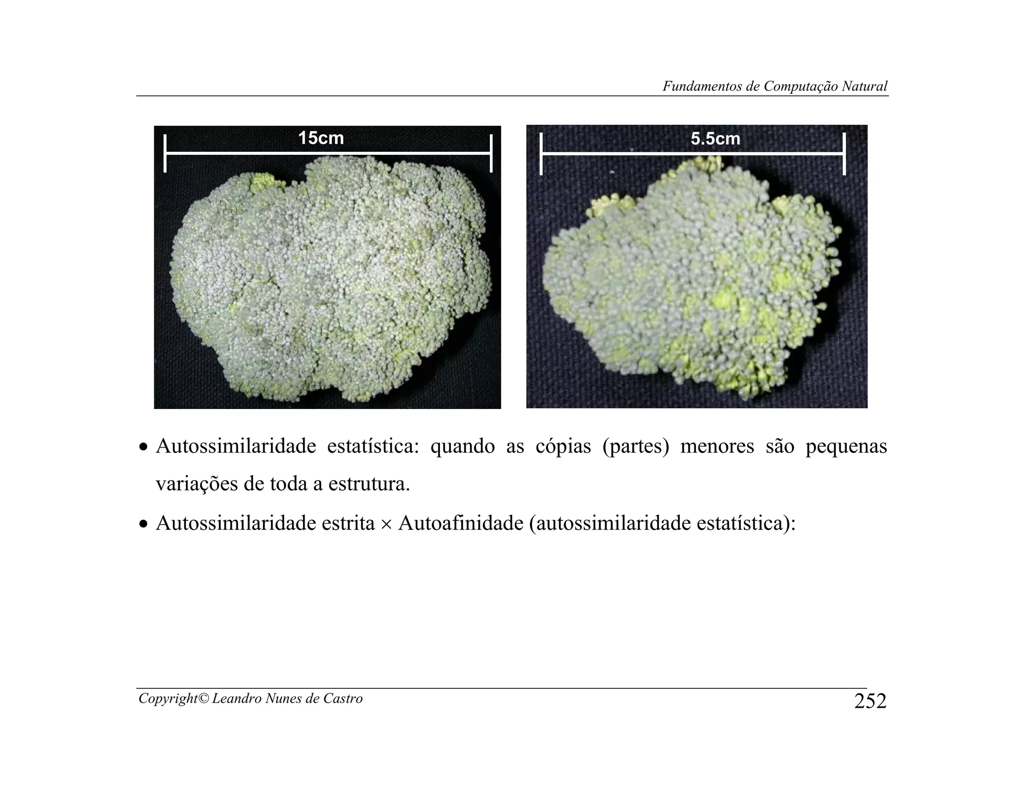 Fundamentos de Computação Natural


                        15cm                                    5.5cm




• Autossimilaridade estatística: quando as cópias (partes) menores são pequenas
  variações de toda a estrutura.
• Autossimilaridade estrita × Autoafinidade (autossimilaridade estatística):




Copyright© Leandro Nunes de Castro                                                      252
 